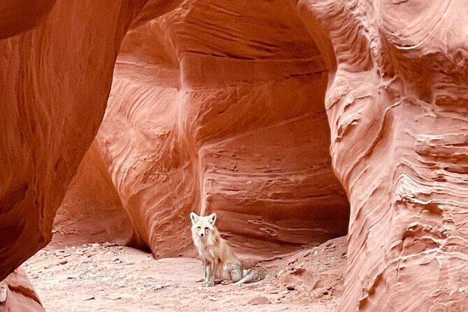 Antelope Canyon/Lake Powell Kayak Rentals: Self-Guided Adventures - Final Thoughts