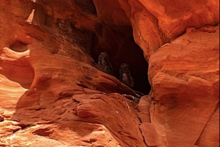 Antelope Canyon: Owl Canyon Guided Hiking Tour - Tour Details and Booking Information