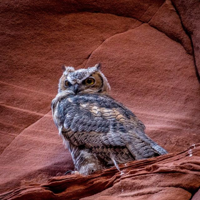 Antelope Canyon: Owl Canyon Guided Hiking Tour - Free Cancellation and Flexible Payment Options