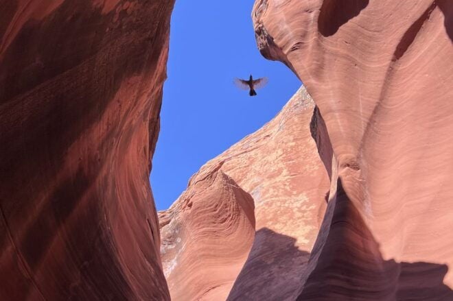 Antelope Canyon: Private Rattlesnake Canyon Tour - Full Description