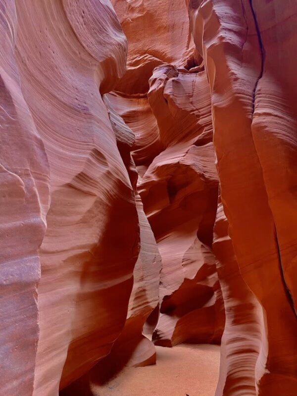 Antelope Canyon X Entry Ticket with Guided Tour - Is the $82 starting price good value?