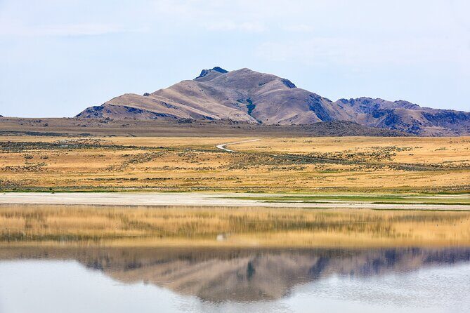 Antelope Island Wildlife Expedition Great Salt Lake Adventure - A Detailed Look at the Antelope Island Wildlife Expedition