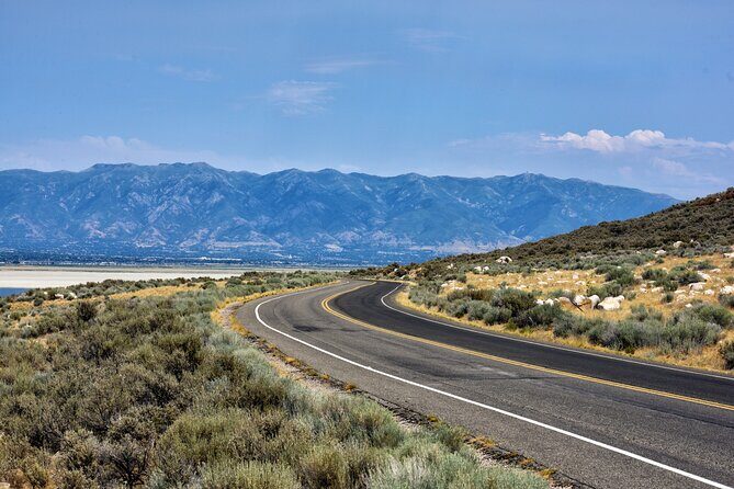 Antelope Island Wildlife Expedition Great Salt Lake Adventure - Who Should Consider This Tour?