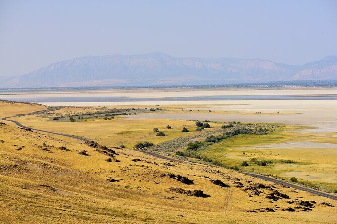 Antelope Island Wildlife Expedition Great Salt Lake Adventure - FAQs