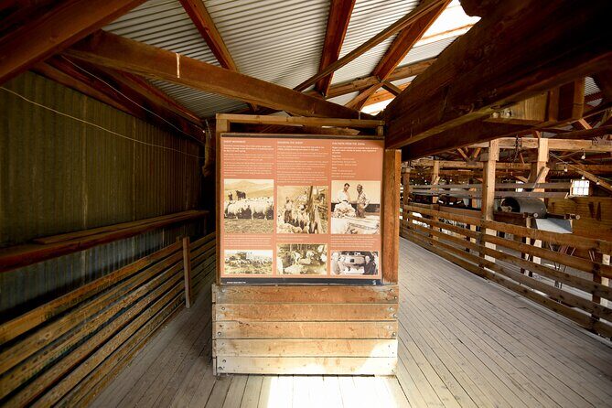 Antelope Island Wildlife Expedition Great Salt Lake Adventure - Final Thoughts