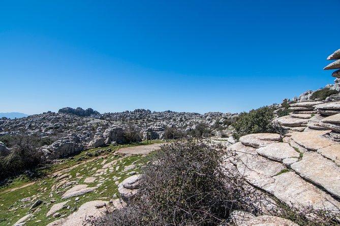 Antequera and Torcal From Granada in a Small Group up to 7 People - Weather and Minimum Travelers