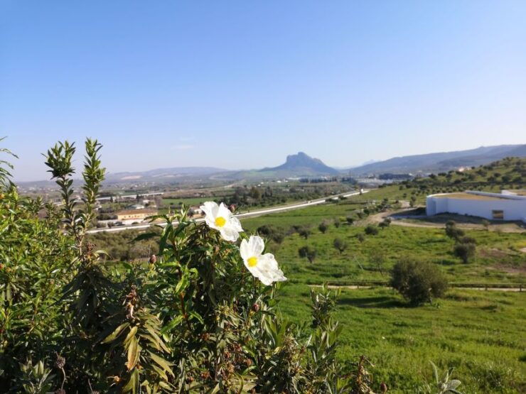 Antequera: Dolmens and El Torcal Tour With Transfer - Activity Details