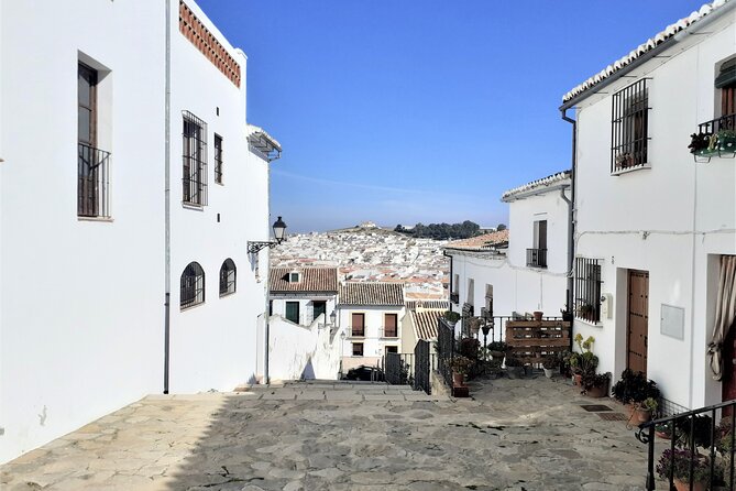 Antequera Group Walking Tour - Minimum Travelers Requirement