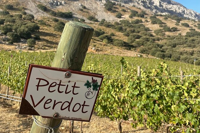 Antequera Highlights - Dolmens, El Torcal & Vineyard - The Sum Up