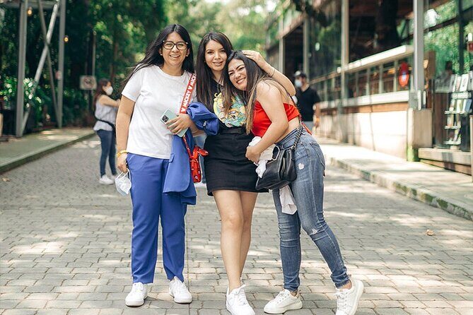 Anthropology Museum, Chapultepec Castle & Cable Car Tour - The Cable Car Ride and Scenic Views