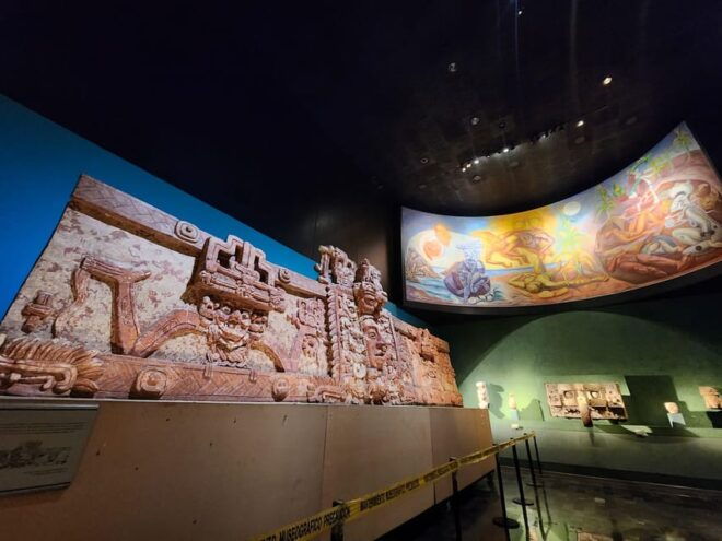 ANTHROPOLOGY MUSEUM GUIDED TOUR - Pricing and Languages