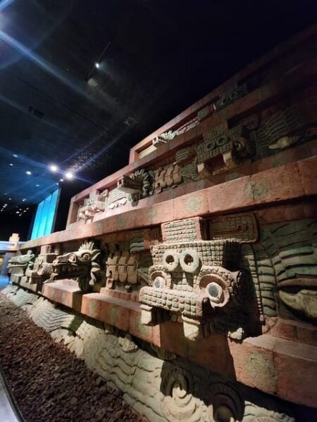 ANTHROPOLOGY MUSEUM GUIDED TOUR - Frequently Asked Questions
