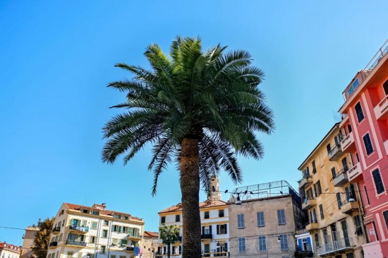 Antibes: Express Walk With a Local in 60 Minutes - Good To Know