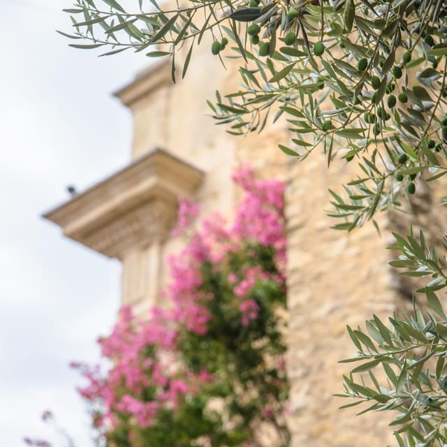 Antibes: Express Walk With a Local in 60 Minutes - Itinerary and Experience