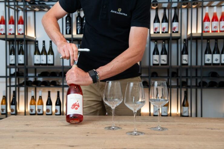 ANTICA ENOTRIA: CELLAR TASTING OF WINES AND PRESERVES - Guided Tour Details