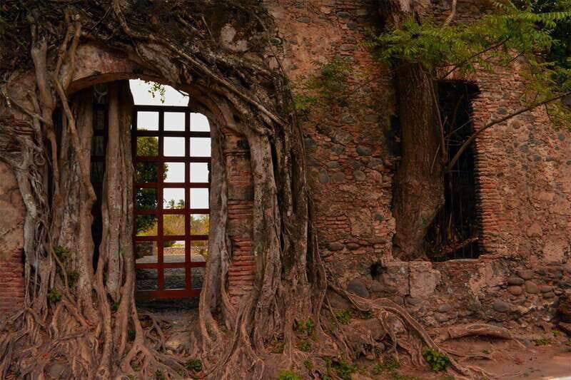 Antigua and Cempoala Tour from Veracruz - Good To Know