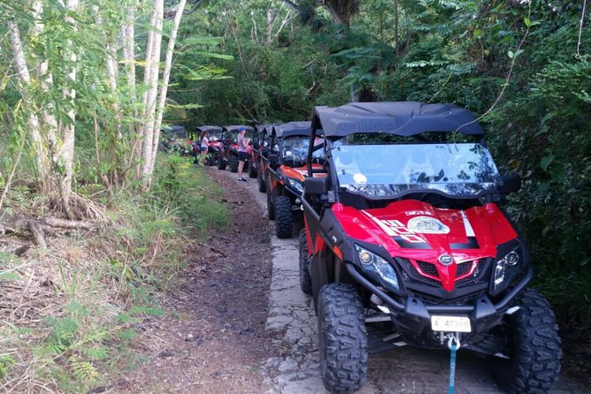 Antigua Buggy Explorer Tour From St. Johns - Tour Highlights