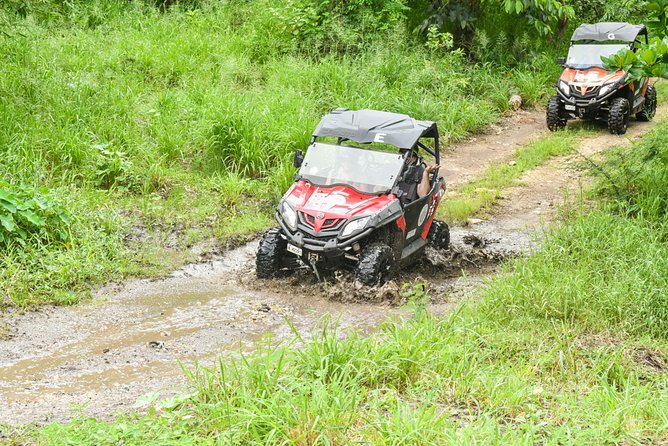 Antigua Buggy Explorer Tour From St. Johns - Customer Reviews