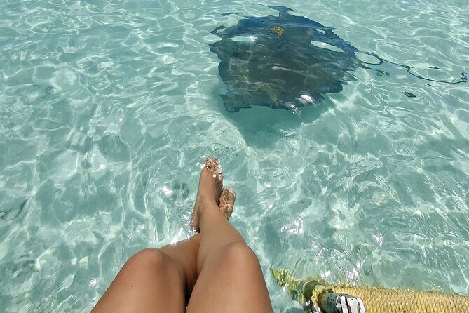 ANTIGUA FROM TOP TO BOTTOM: Stingray City, Beach, lunch & more... - Good To Know