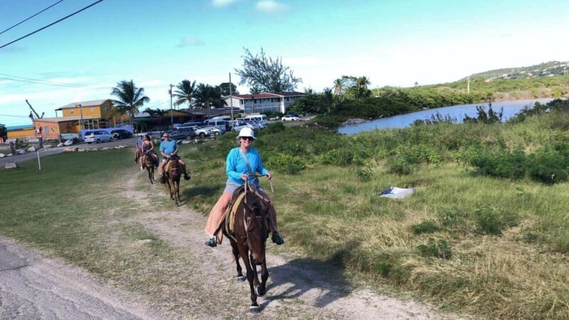 Antigua: Horseback Riding at Royalton or Dickenson Bay - Good To Know  