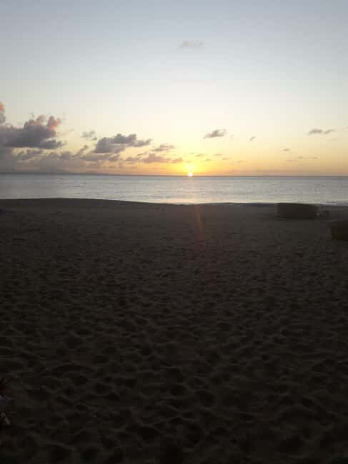 Antigua: Horseback Riding at Royalton or Dickenson Bay - Deep Dive into the Experience  