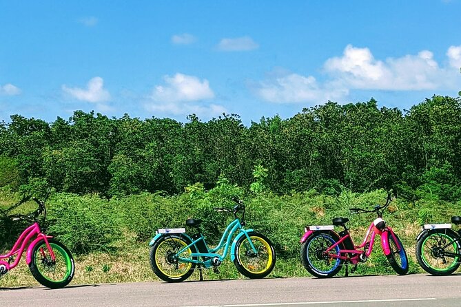 Antigua North Coast Towns and Beaches E-Bike Tour - Tips for a Memorable Tour