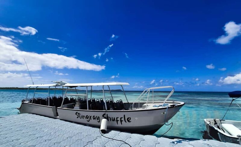 Antigua: Stingray City Experience with Round-Trip Transfer - Authenticity and Family-Friendliness