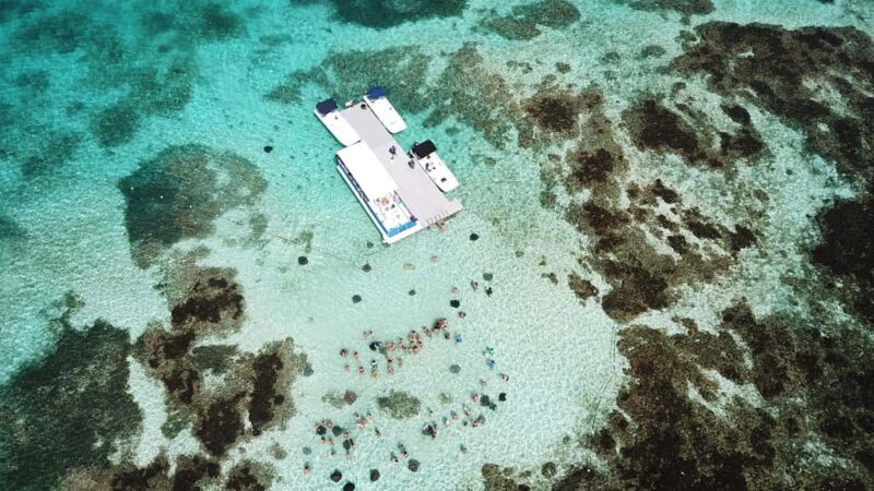 Antigua: Stingray City Experience with Round-Trip Transfer - The Sum Up