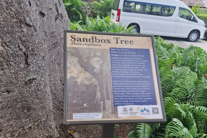 Antigua Tour and Beach - Who Would Love This Tour?