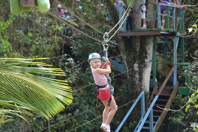 Antigua Zipline Canopy Adventure From St John'S - Aerial Adventure in Antigua