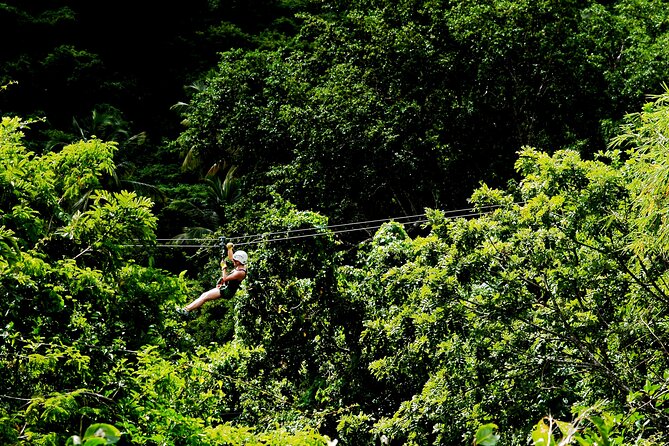 Antigua Zipline Canopy Adventure From St John'S - Important Information for Travelers