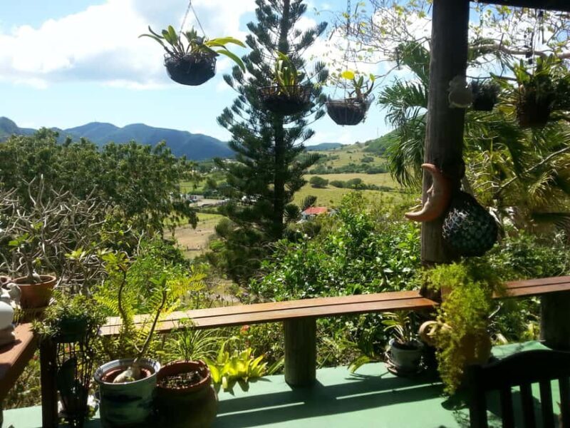 Antiguan experience home tour with local guide with lunch - FAQs