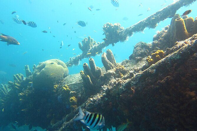 Antilla Shipwreck Seabob Tour - Good To Know  