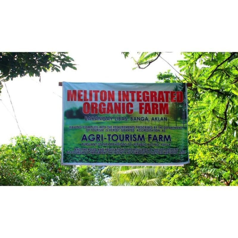 Antique Banga & Balete Tour - Introduction