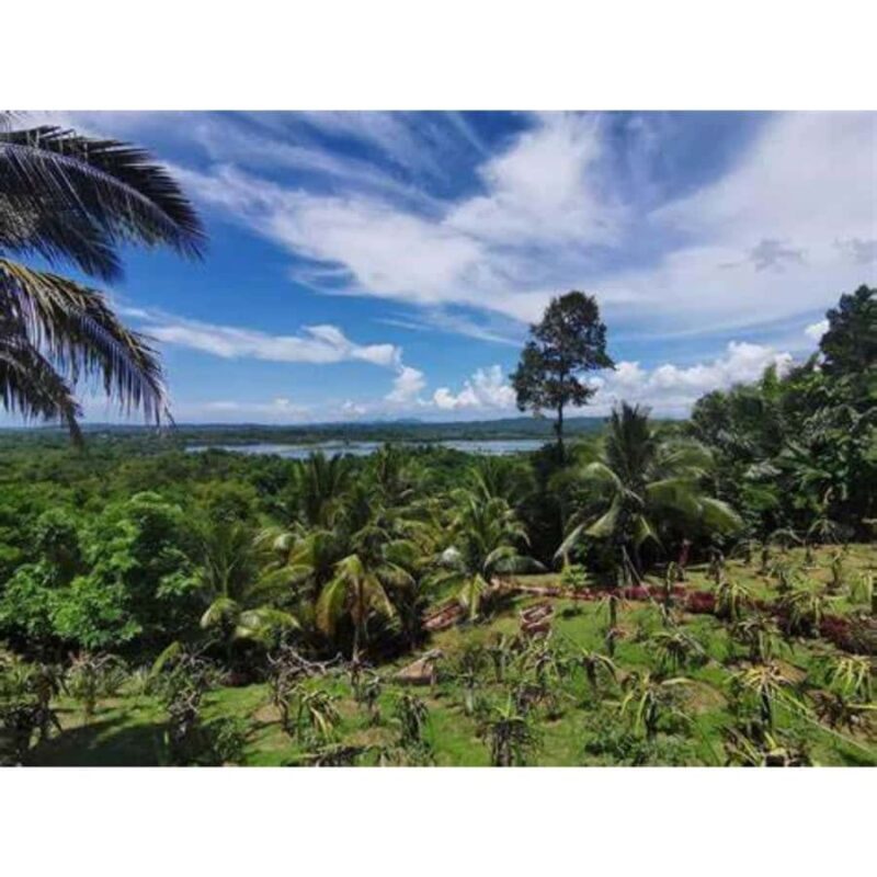 Antique Banga & Balete Tour - Good To Know