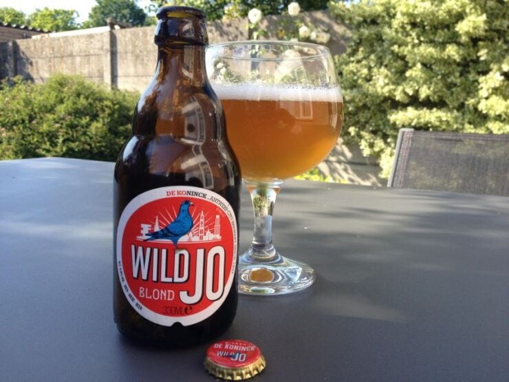 Antwerp Beer Tour - Booking Details