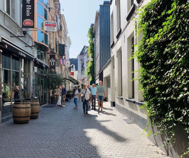 Antwerp: City Highlights Walking Tour - Authenticity and Personal Touches
