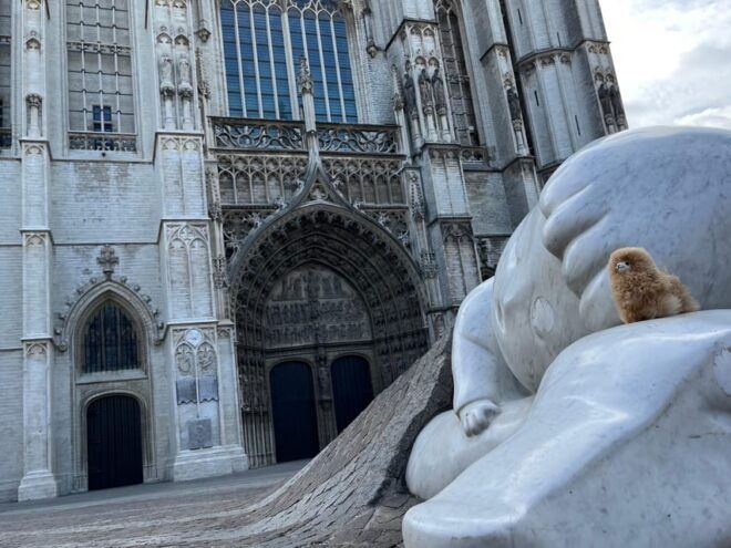 Antwerp Walking and Tasting Tour - Accessibility and Group Options