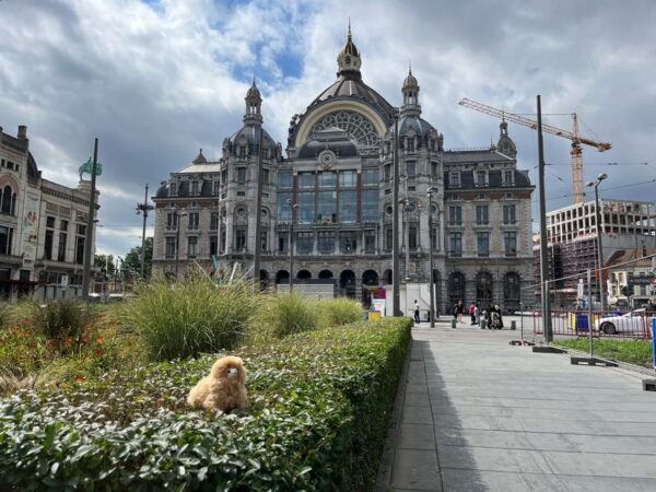 Antwerp Walking and Tasting Tour - Frequently Asked Questions