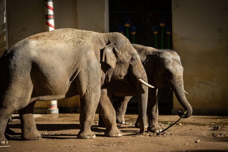Antwerp: ZOO Entry Ticket - Final Thoughts