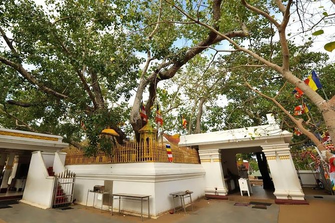 Anuradhapura Ancient City Tuk Tuk Tour - Inclusions