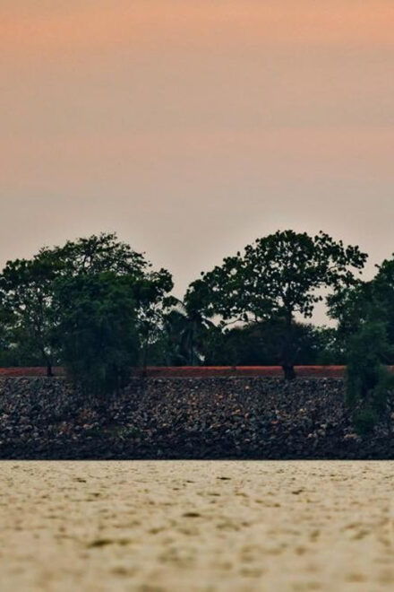 Anuradhapura & Aukana: All Inclusive Tour From Negombo - Important Information