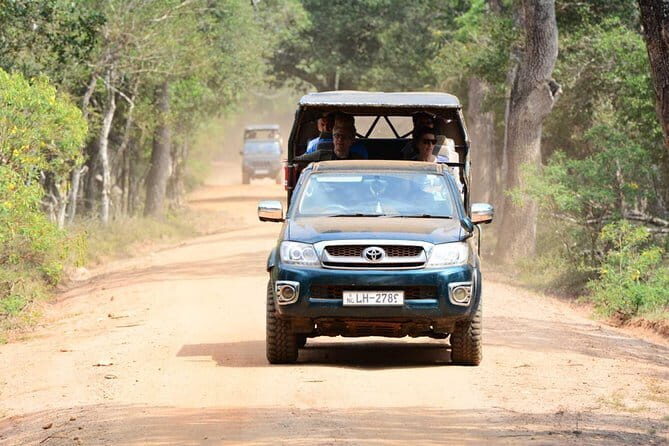 Anuradhapura: Full-Day Wilpattu National Park Private Safari - The Experience: What to Expect from This Wilpattu Safari