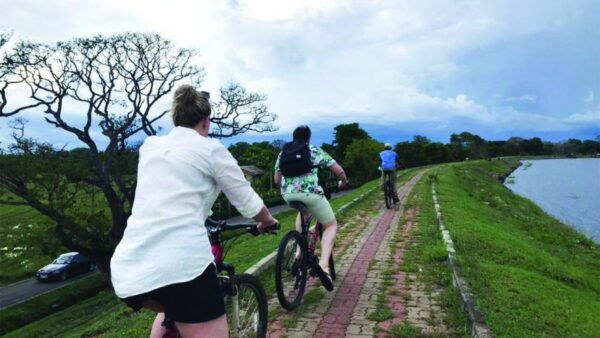 Anuradhapura: Private Half-Day Cycling Tour W/ Guide - Common Questions