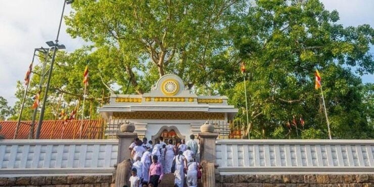 Anuradhapura: Sacred Kingdom Exploring Tour by Tuk-Tuk! - Tour Highlights
