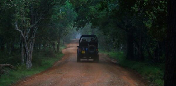 Anuradhapura: Wilpattu National Park Day Trip With Entrance - Preparation Tips for Travelers