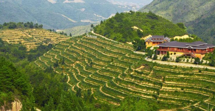 Anxi Tea Garden and Hong'En Rock From Xiamen - Highlights and Description
