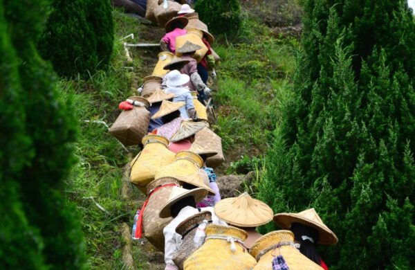 Anxi Tea Garden and Hong'En Rock From Xiamen - Reservation Details and The Sum Up