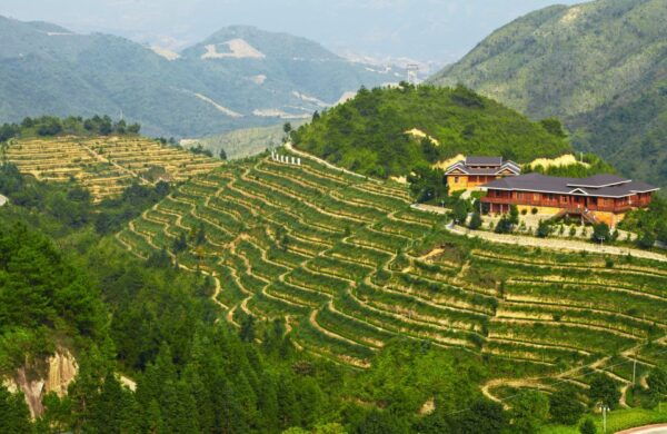 Anxi Tea Garden and Hong'En Rock From Xiamen - Frequently Asked Questions