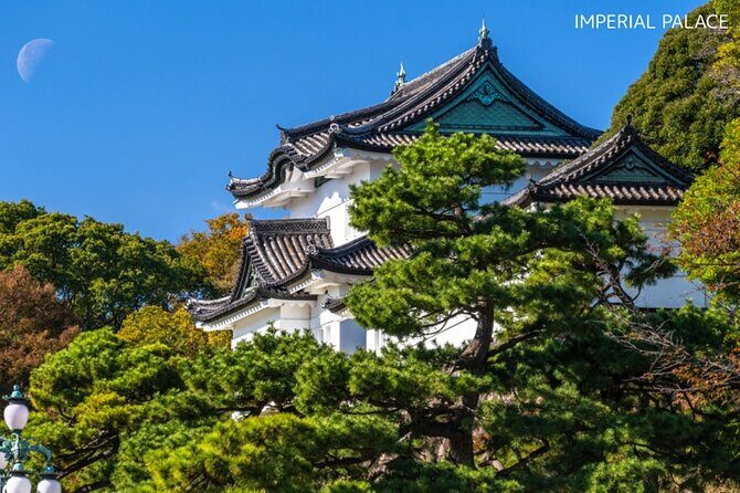 Anywhere you like! Tokyo Customized Tour in 3 hours - Good To Know